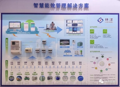 共襄盛會謀發展，林洋助力儀器儀表行業創新升級